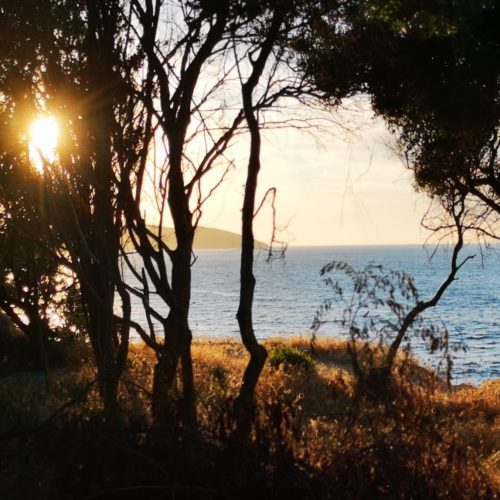 Sonne, Meer (2)